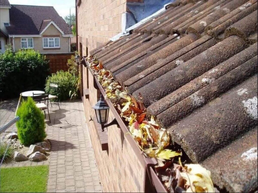 Residential gutter packed with leaves and debris along a roofline.