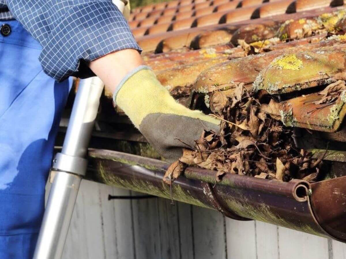 Blocked gutter being cleared of leaves and debris during gutter cleaning service