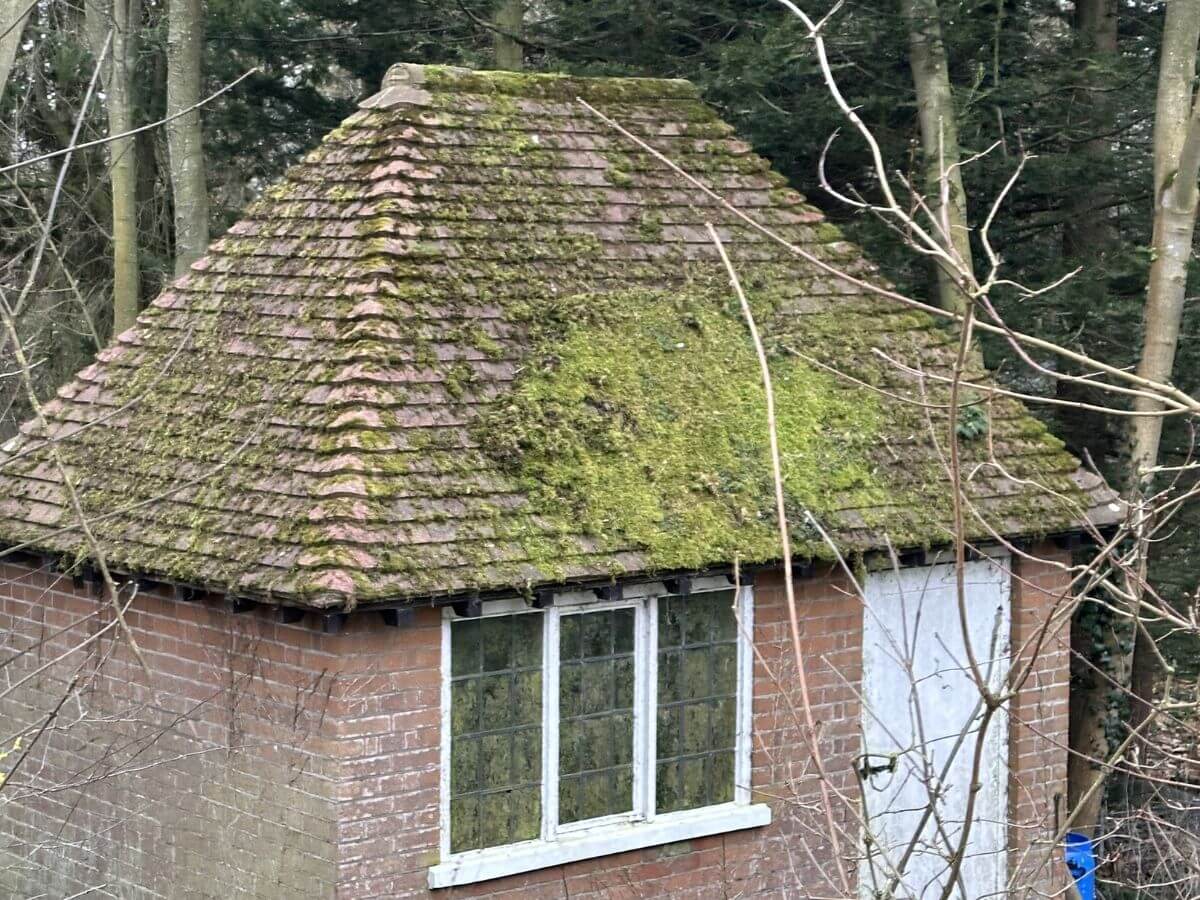 Outbuilding roof heavily covered in moss before professional roof cleaning, showing extensive moss growth across the roof tiles.